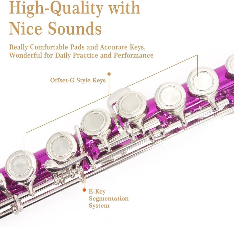 YANASON Pink C Flute Closed Hole 16 Keys Flute Nickel-Plated for Beginner, Student and Professionals with Carrying case, Metal stand, Gloves, Tuning Rod, Cleaning kit(Pink) - Image 3